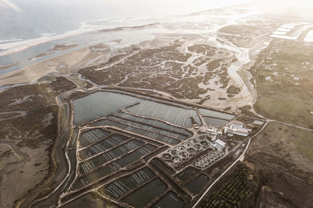 Quinta para Venda em Conceição e Cabanas de Tavira Foto 3