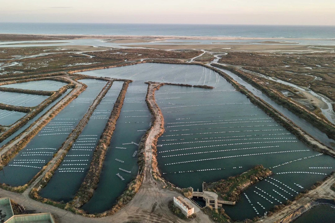Quinta para Venda em Conceição e Cabanas de Tavira Foto 15