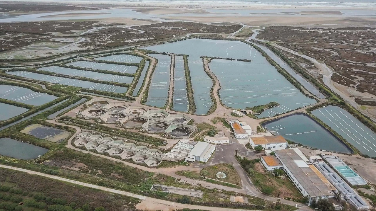 Quinta para Venda em Conceição e Cabanas de Tavira Foto 8
