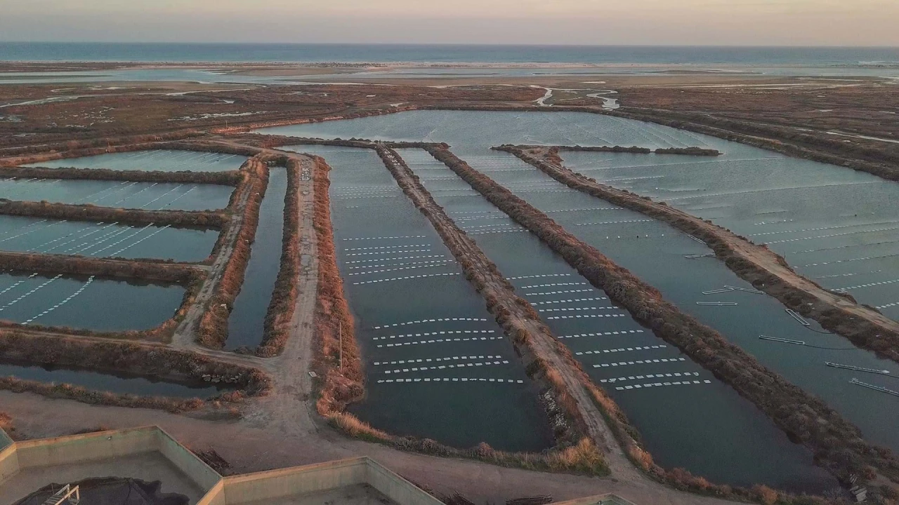 Quinta para Venda em Conceição e Cabanas de Tavira Foto 5