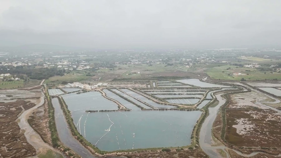 Quinta para Venda em Conceição e Cabanas de Tavira Foto 9