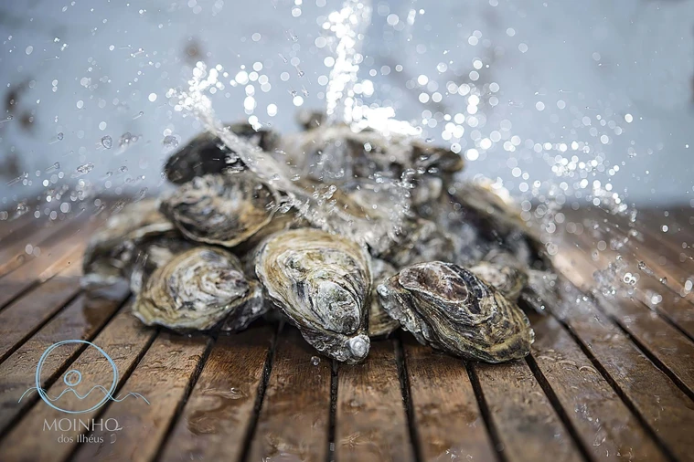 Quinta para Venda em Conceição e Cabanas de Tavira Foto 19