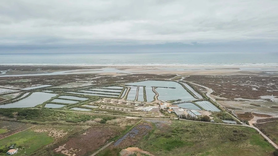 Quinta para Venda em Conceição e Cabanas de Tavira Foto 6