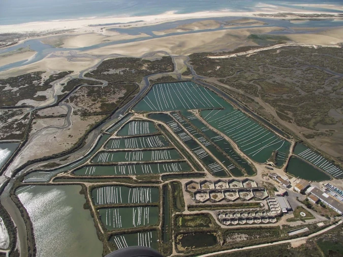 Quinta para Venda em Conceição e Cabanas de Tavira Foto 2