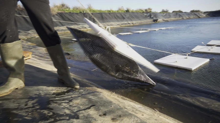 Quinta para Venda em Conceição e Cabanas de Tavira Foto 16