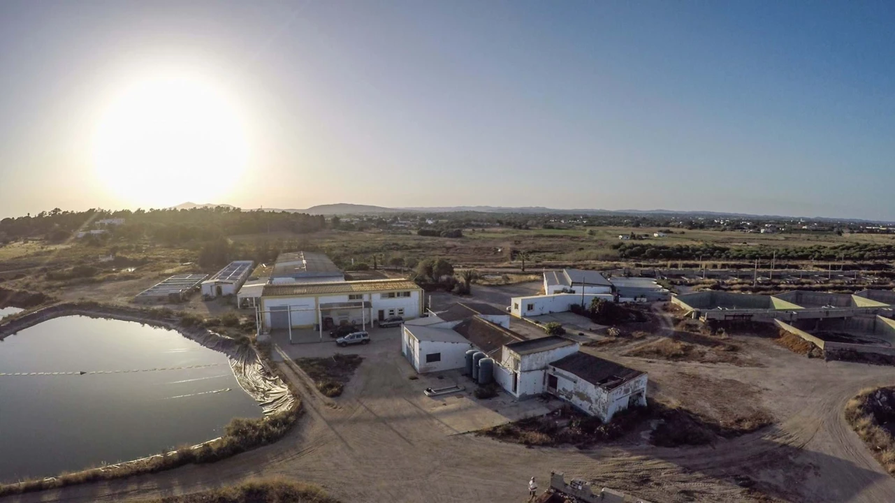 Quinta para Venda em Conceição e Cabanas de Tavira Foto 4