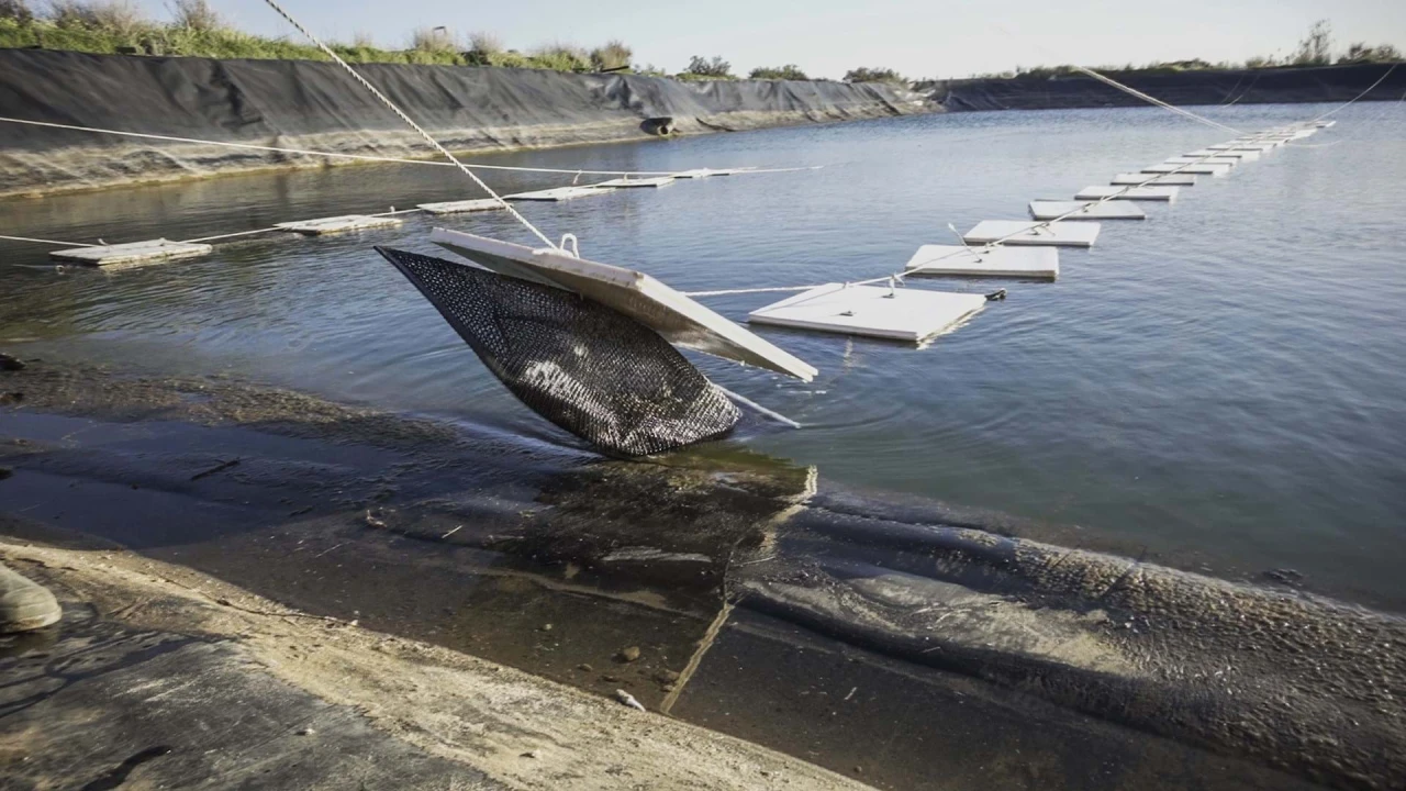 Quinta para Venda em Conceição e Cabanas de Tavira Foto 17