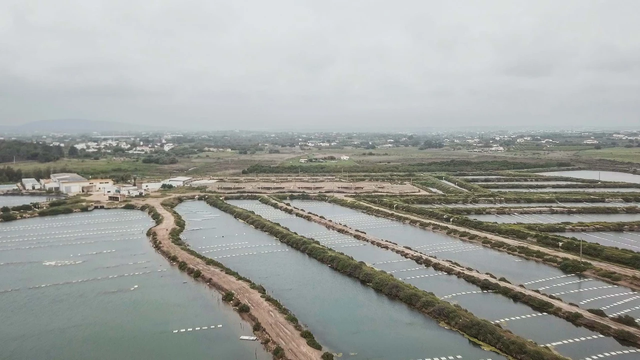 Quinta para Venda em Conceição e Cabanas de Tavira Foto 10