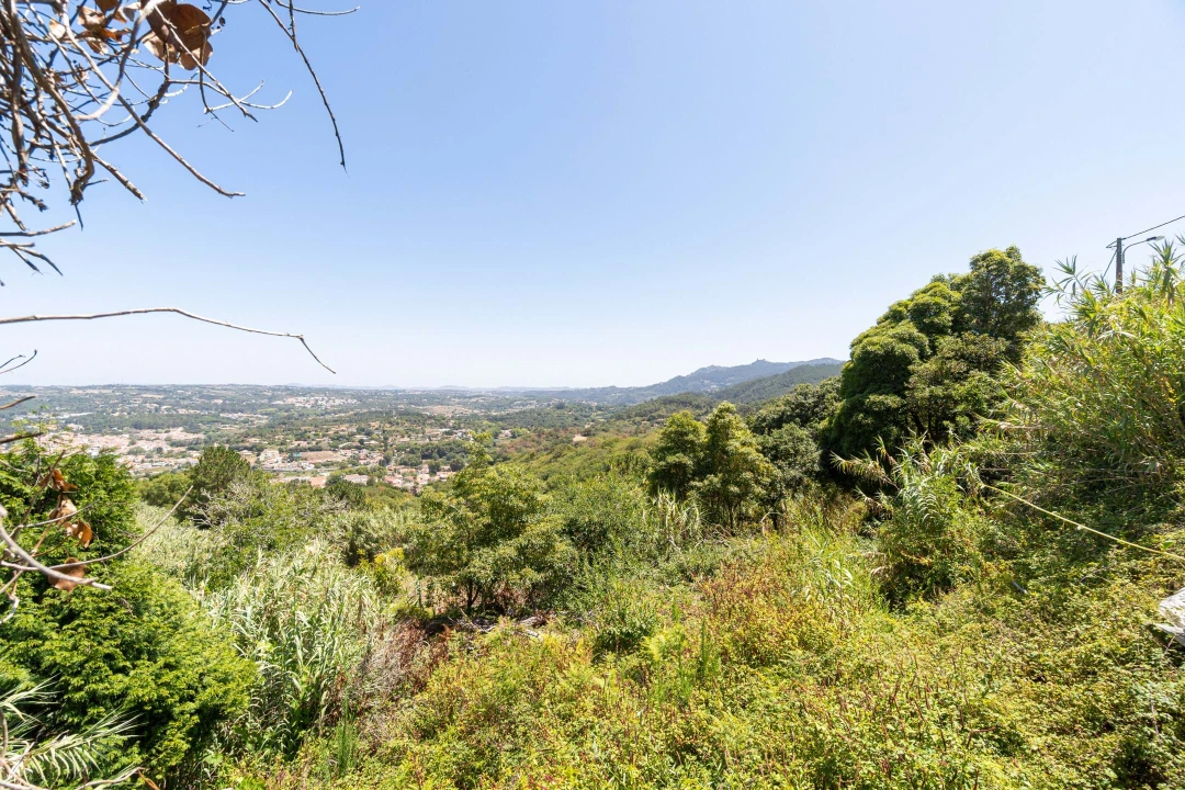 Quinta T6 para Venda em Colares Foto 38