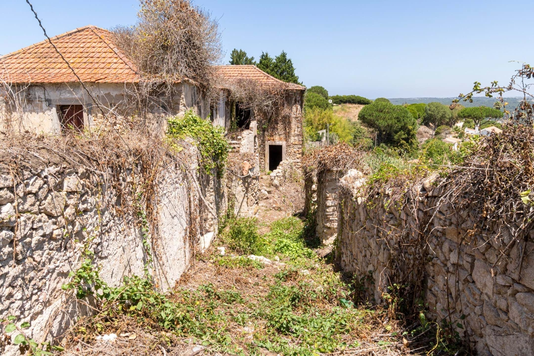 Quinta T6 para Venda em Colares Foto 19