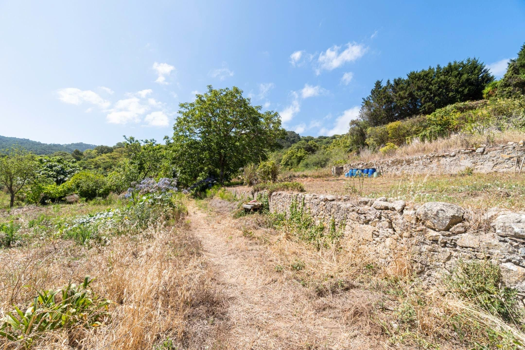 Quinta T6 para Venda em Colares Foto 5