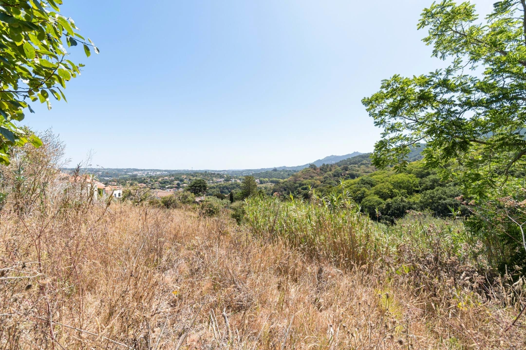 Quinta T6 para Venda em Colares Foto 6