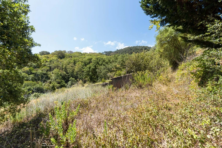 Quinta T6 para Venda em Colares Foto 3