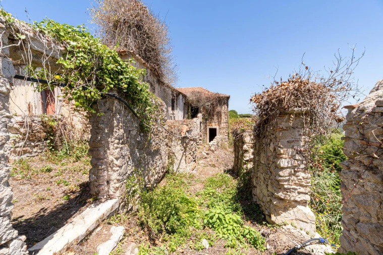 Quinta T6 para Venda em Colares Foto 21