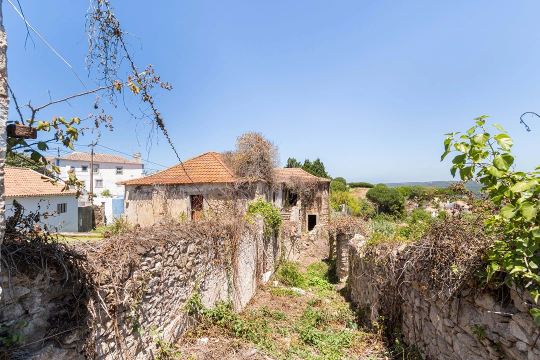 Quinta T6 para Venda em Colares Foto 22