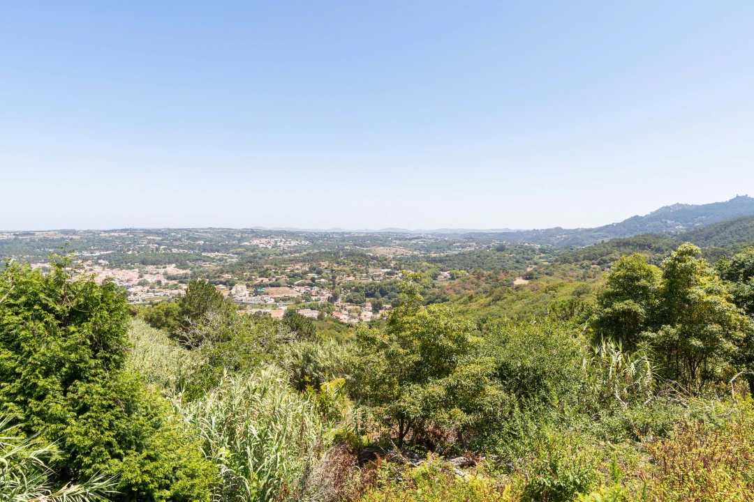 Quinta T6 para Venda em Colares Foto 37