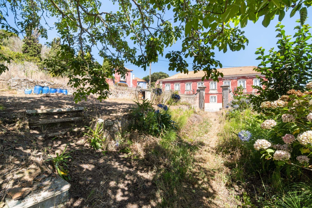 Quinta T6 para Venda em Colares Foto 4