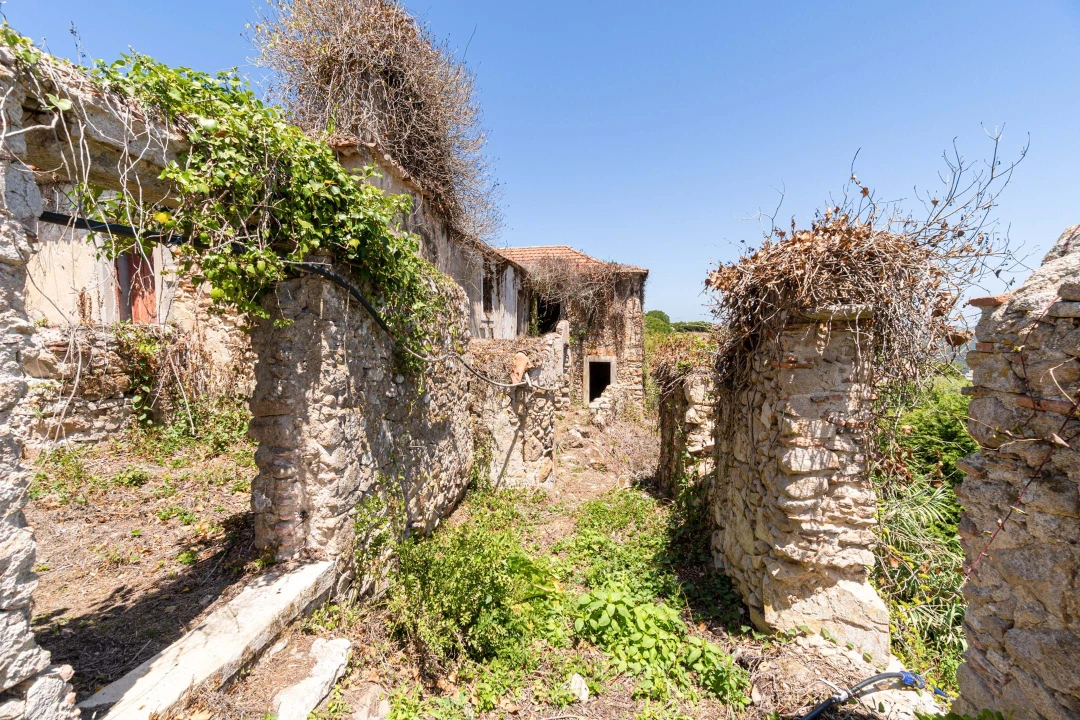 Quinta T6 para Venda em Colares Foto 21