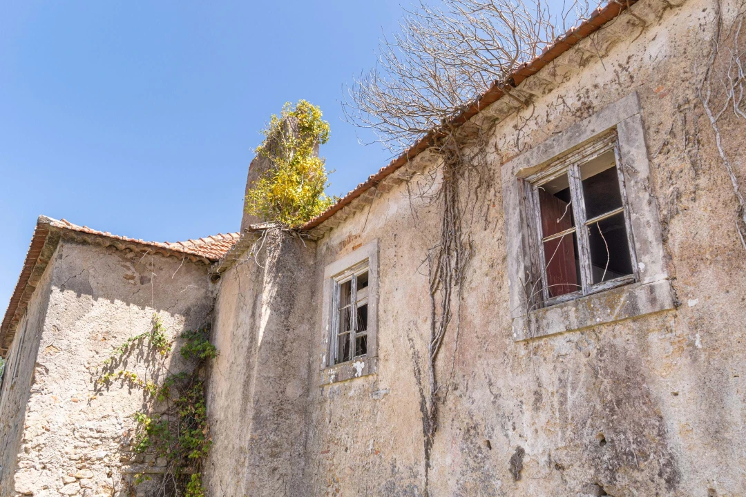 Quinta T6 para Venda em Colares Foto 15