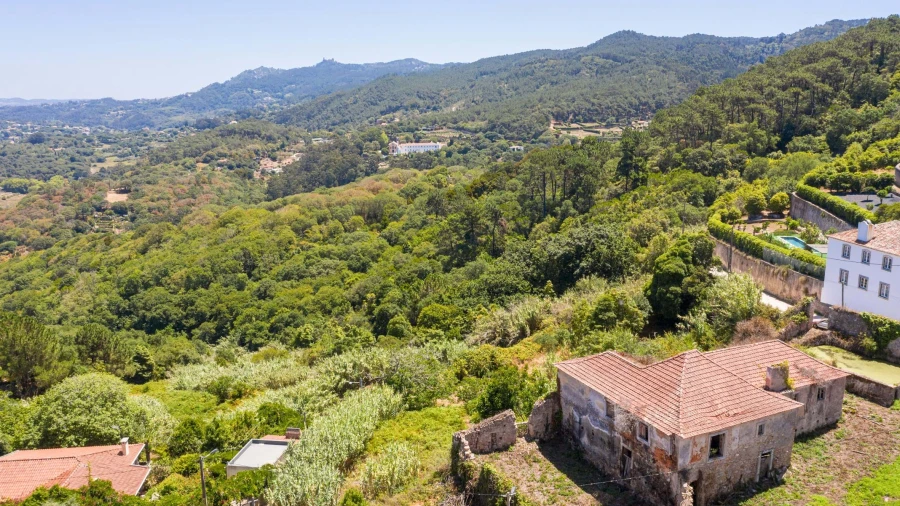Quinta T6 para Venda em Colares