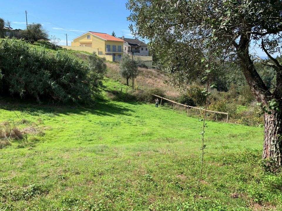 Terreno para Venda em Santo Antonio dos Olivais Foto 2