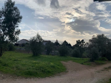 Terreno para Venda em Santo Antonio dos Olivais