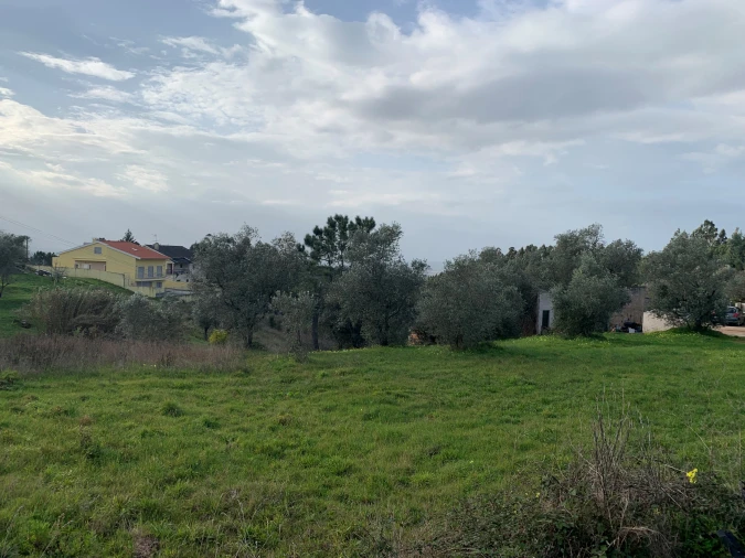 Terreno para Venda em Santo Antonio dos Olivais Foto 3