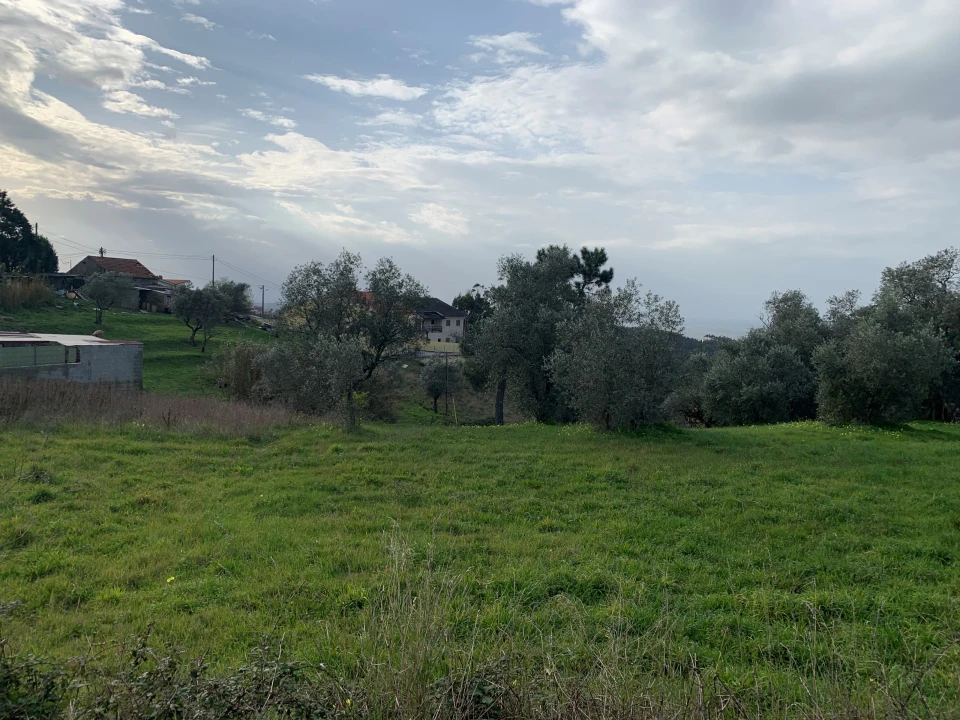 Terreno para Venda em Santo Antonio dos Olivais Foto 5