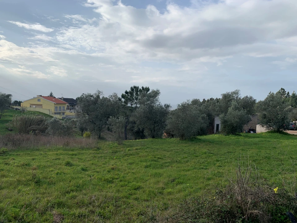 Terreno para Venda em Santo Antonio dos Olivais Foto 3