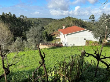 Terreno para Venda em Santo Antonio dos Olivais
