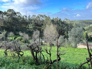 Terreno para Venda em Santo Antonio dos Olivais