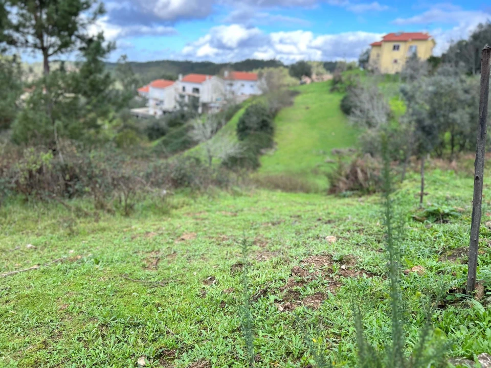Terreno para Venda em Santo Antonio dos Olivais Foto 13