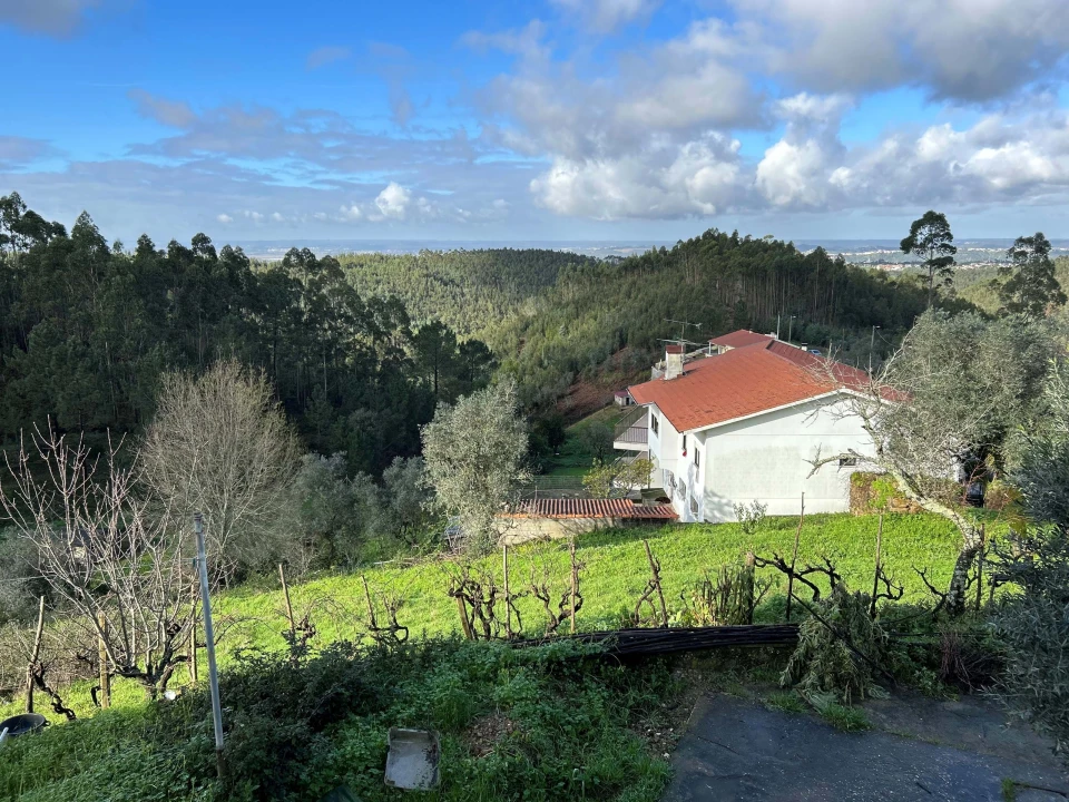 Terreno para Venda em Santo Antonio dos Olivais Foto 9
