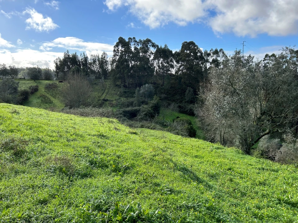 Terreno para Venda em Santo Antonio dos Olivais Foto 10