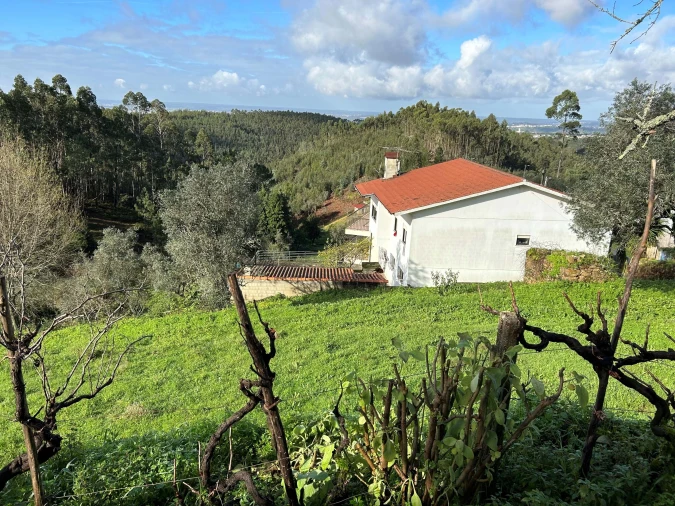 Terreno para Venda em Santo Antonio dos Olivais Foto 2