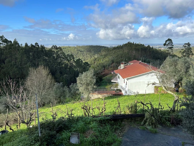 Terreno para Venda em Santo Antonio dos Olivais Foto 9
