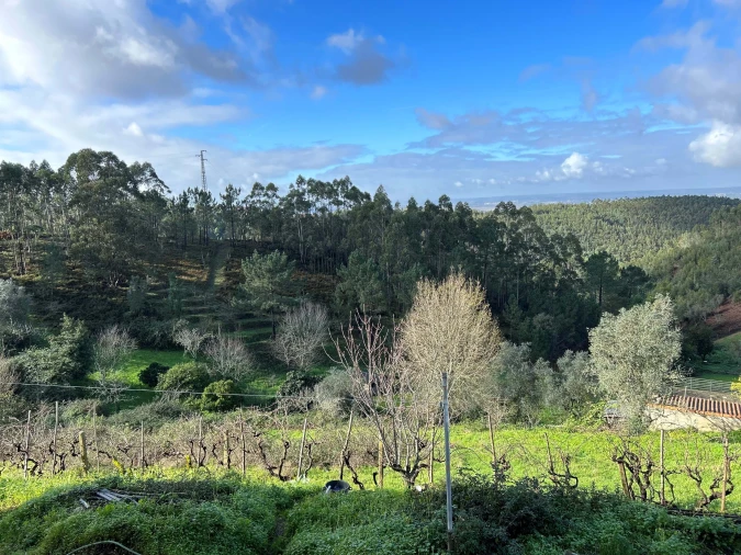 Terreno para Venda em Santo Antonio dos Olivais Foto 7