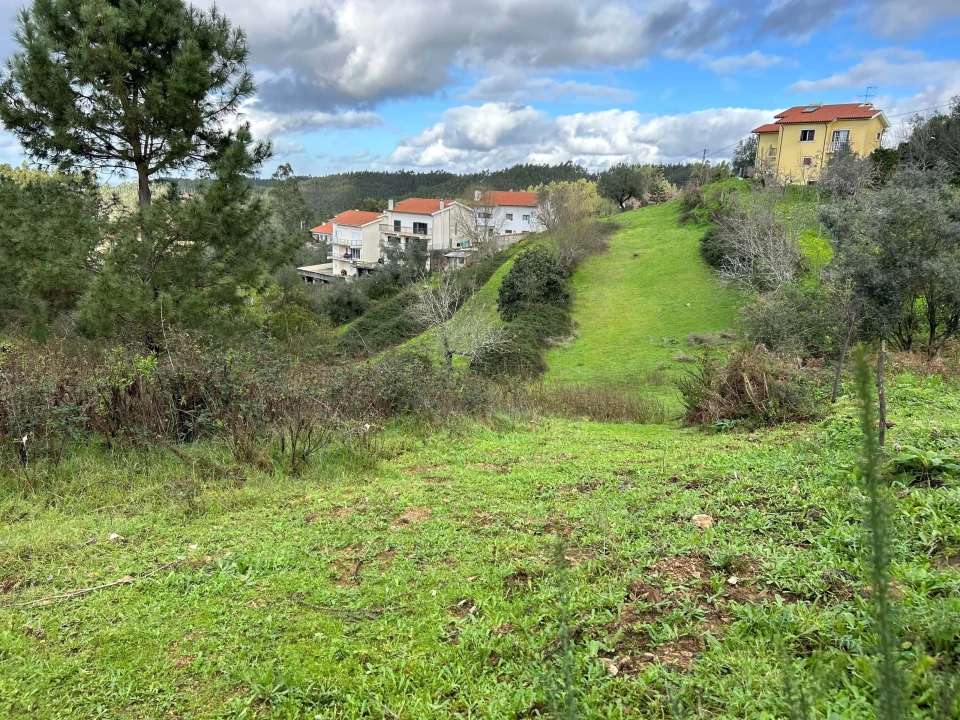 Terreno para Venda em Santo Antonio dos Olivais Foto 14