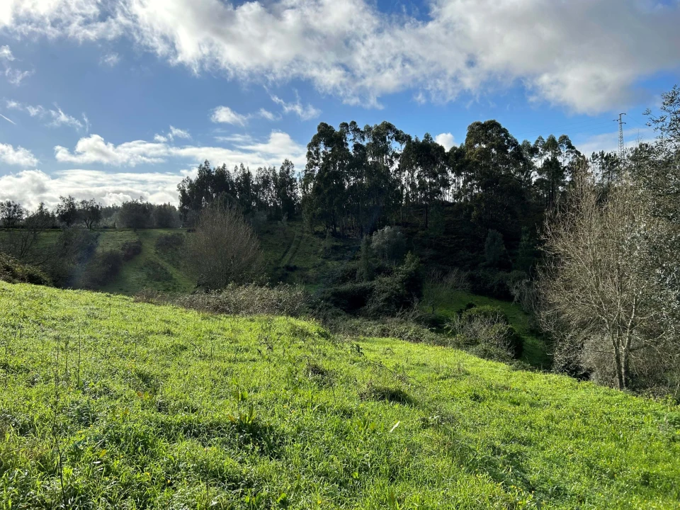 Terreno para Venda em Santo Antonio dos Olivais Foto 12