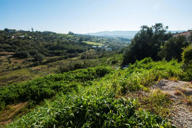 Terreno para Venda em Bucelas