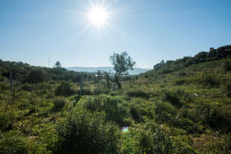 Terreno para Venda em Bucelas Foto 7