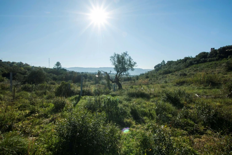 Terreno para Venda em Bucelas Foto 7