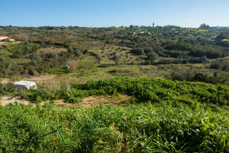 Terreno para Venda em Bucelas