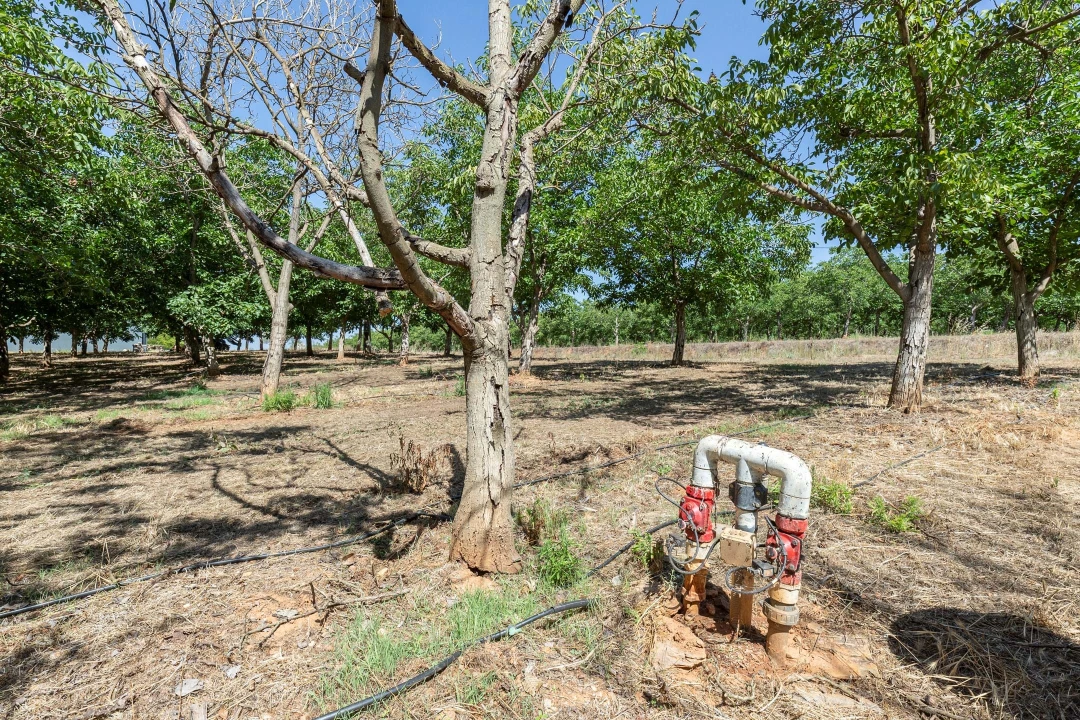Terreno para Venda em Estremoz (Santa Maria e Santo André) Foto 15