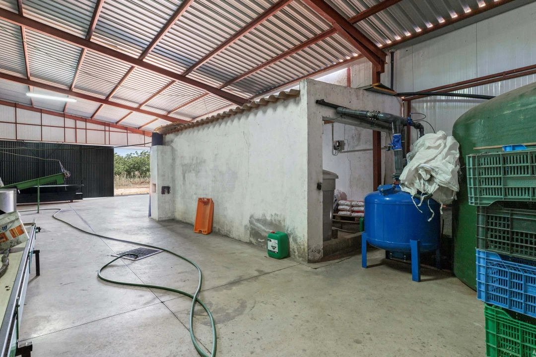 Terreno para Venda em Estremoz (Santa Maria e Santo André) Foto 11