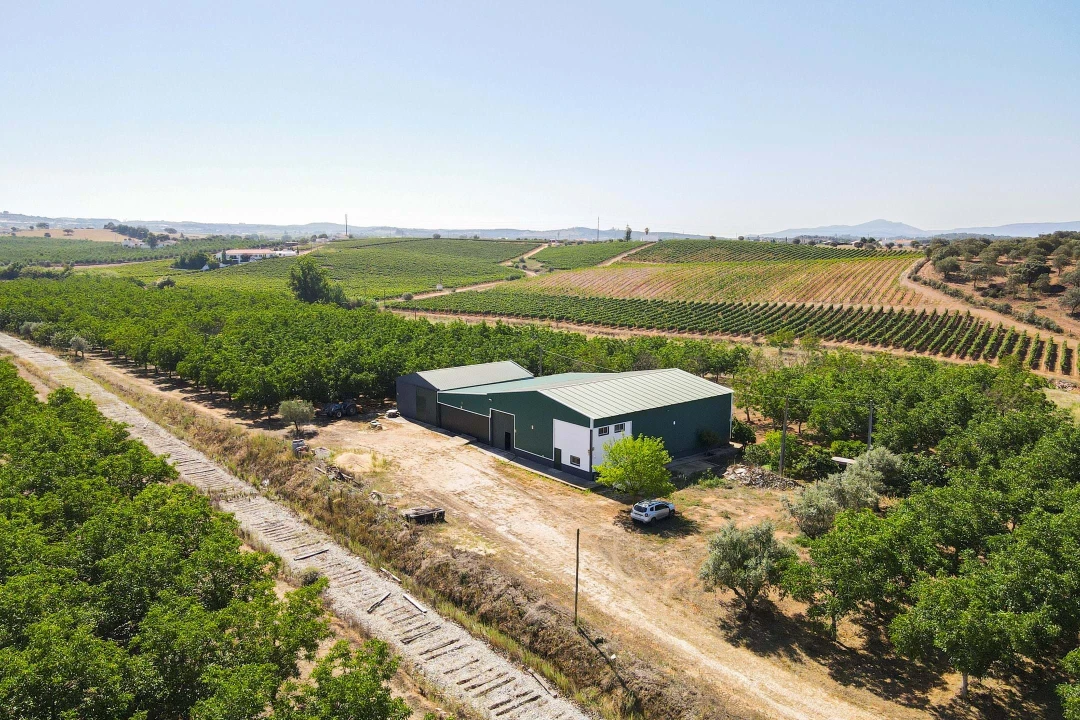 Terreno para Venda em Estremoz (Santa Maria e Santo André) Foto 2