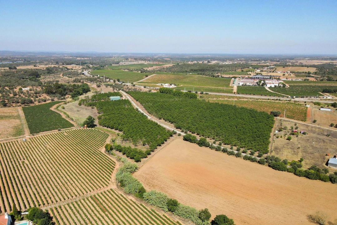 Terreno para Venda em Estremoz (Santa Maria e Santo André) Foto 5