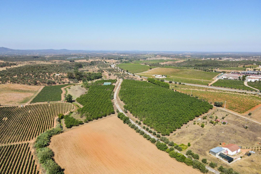 Terreno para Venda em Estremoz (Santa Maria e Santo André) Foto 6