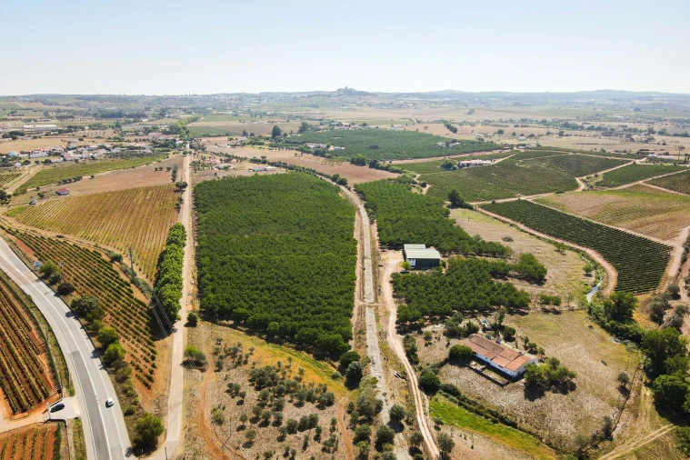 Terreno para Venda em Estremoz (Santa Maria e Santo André) Foto 3
