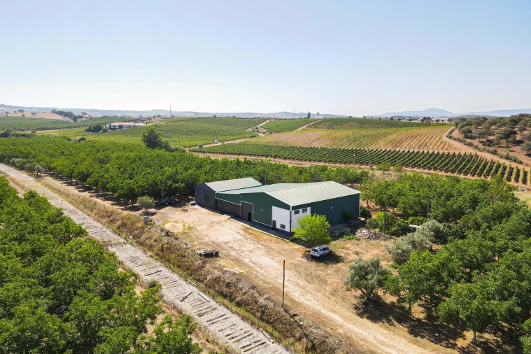 Terreno para Venda em Estremoz (Santa Maria e Santo André) Foto 2